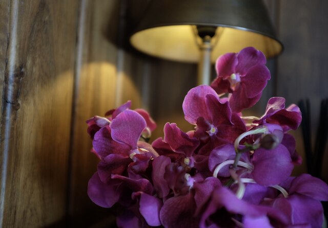 1905 ヘリテージ コーナー