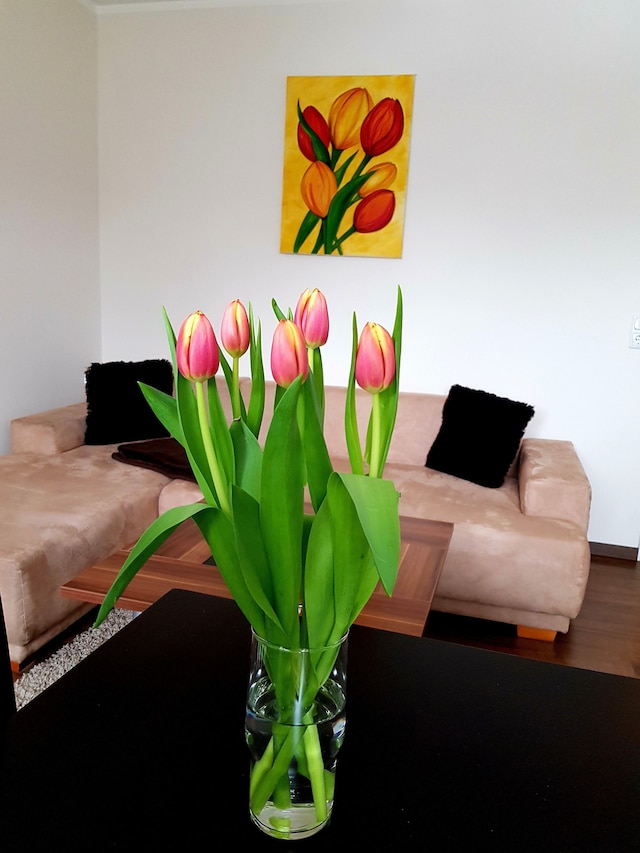 アパートメント オン ザ エルベ フェリー - アパートメント、2 ~ 3 名様用