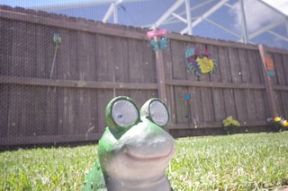 Ly53793 - インディアン リッジ - 3 ベッド 2 バス ヴィラ