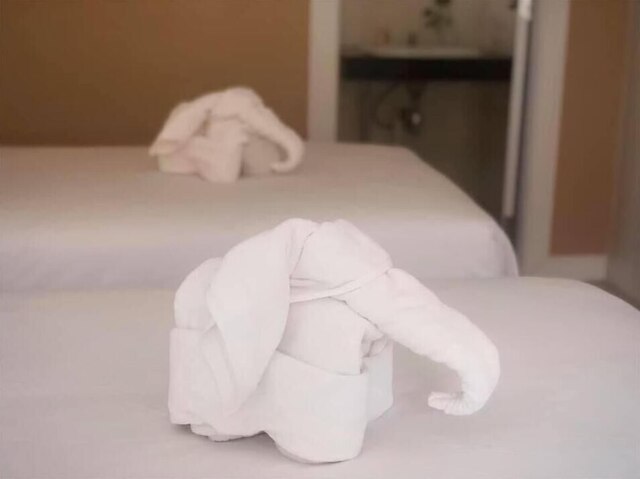 ミー アンド ツリー ヴィラ