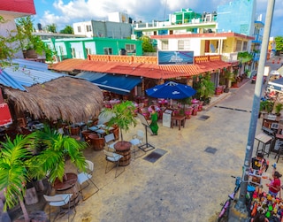 ハウス オブ アート