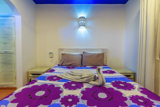 スタジオ パパヤ