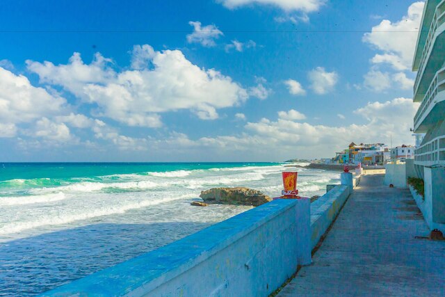 スタジオ パパヤ