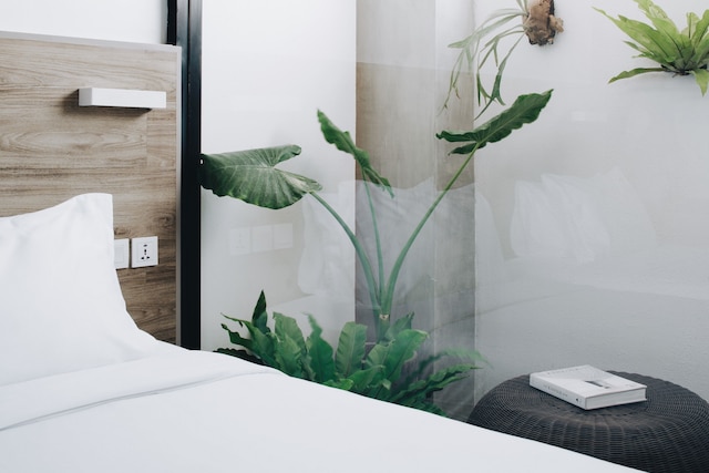 ロイズインバリ