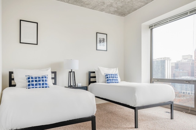 カササウスループシカゴ