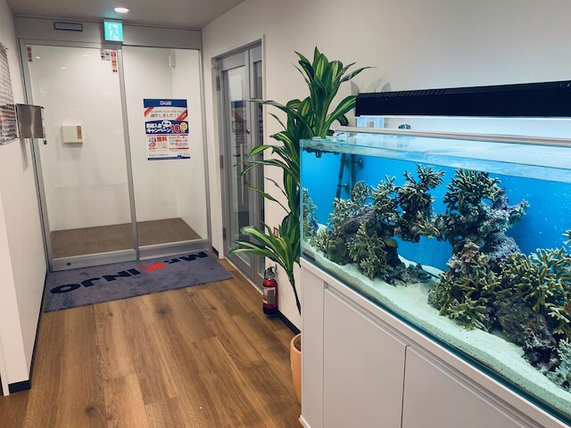 Mr.KINJO in Rinzu SERAGAKI