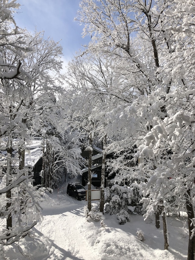 ゲストハウスジャパン白馬