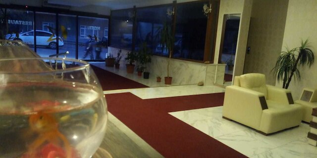 カンカヤ コナギ