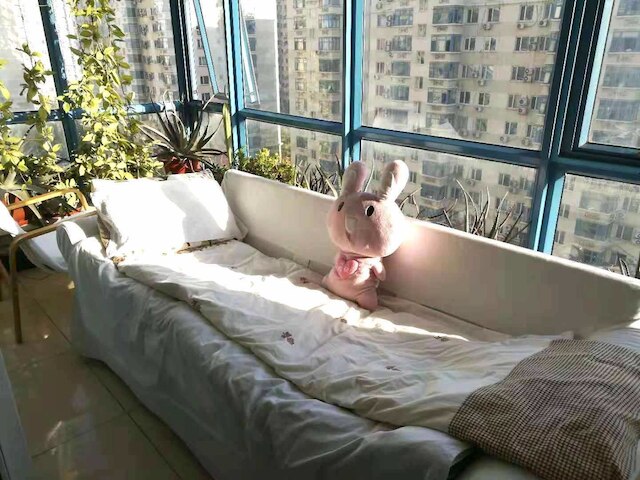 ゴールデン ゲストハウス