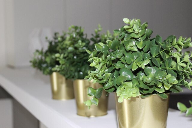 カーサ ディ マンマ