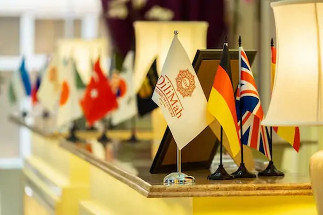 ディリマ プレミアム ラグジュアリー ホテル