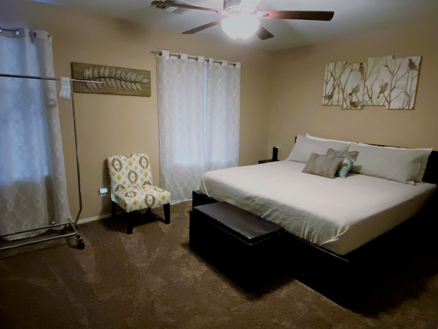 サウス マウンテン フェニックス