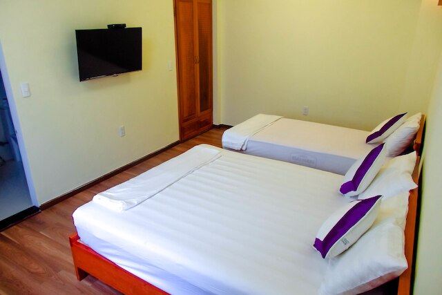 アン ファミリー ホームステイ