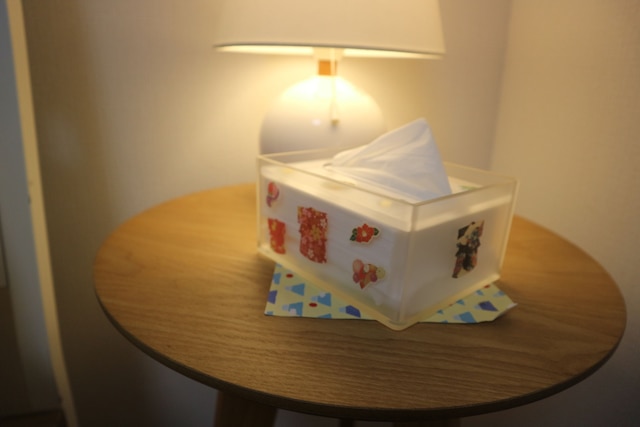 花ホステル・富士山