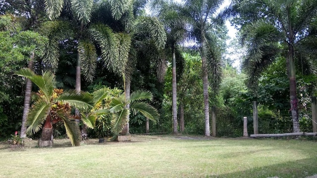 サルミエント ゲスト ハウス