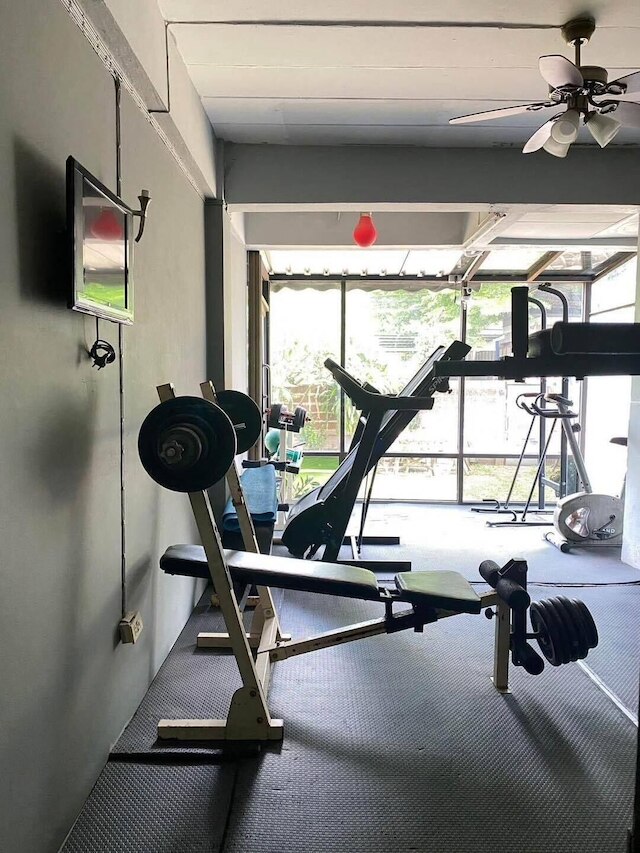 ワレーパイ リゾート