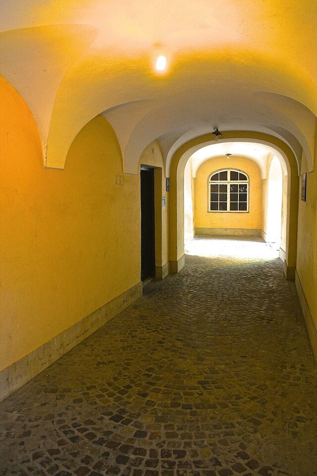 オールド タウン スナグ