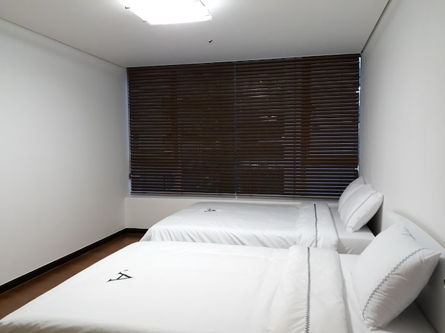 マゼラン 21 アステリウム