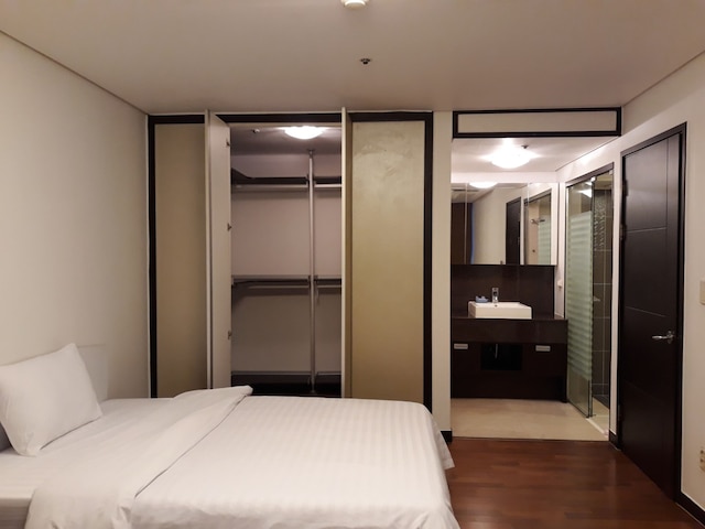 マゼラン 21 アステリウム