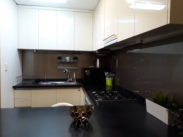 マゼラン 21 アステリウム