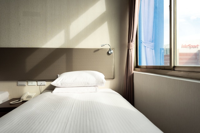 ホリデイ ガーデン ホテル SKM パーク (華園大飯店草衛館)