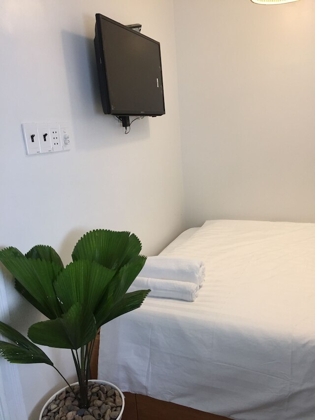 アン ナム コーナー ドリーマー