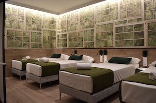 カスプ グリーン ハウス