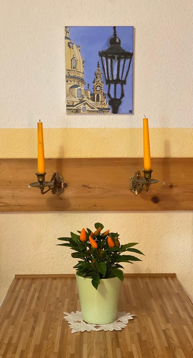 グリューネ イドゥレ イム ドレスデナー ズードゥン