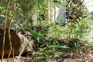 グリューネ イドゥレ イム ドレスデナー ズードゥン