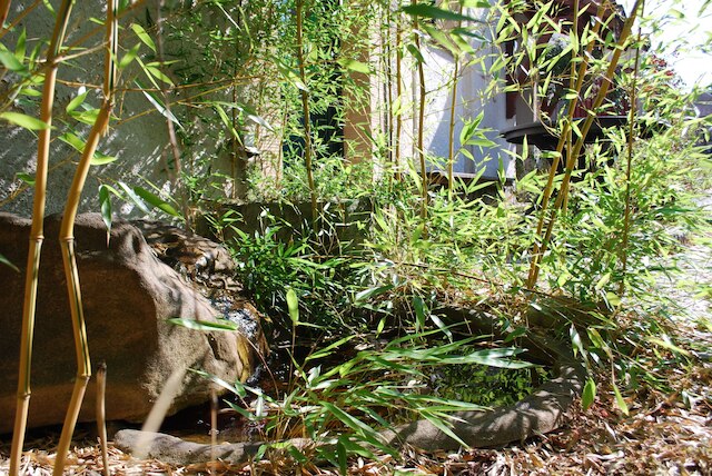 グリューネ イドゥレ イム ドレスデナー ズードゥン