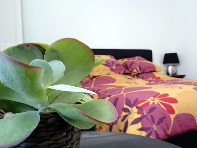 ル クロ シェ ミッシェル