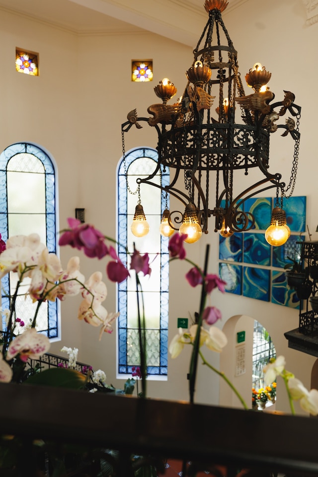 オーキッド ハウス メキシコ シティ