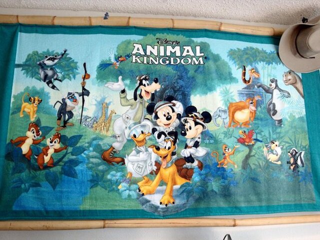 4 ベッドルーム 3 バス ホーム イン インディアン クリーク バイ CV-2673