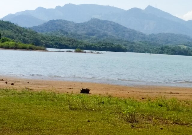 ヨーホー ラヴォンリッチ バンガロー