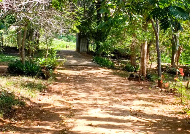 ヨーホー ラヴォンリッチ バンガロー