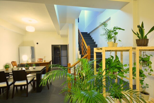 ハローステイ B&B 吉安郷