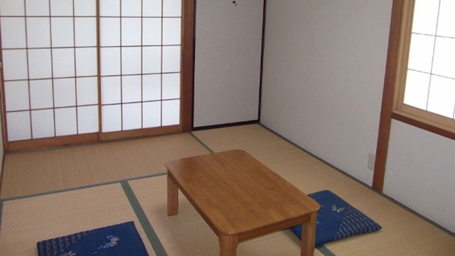 パルズイン雷鳥