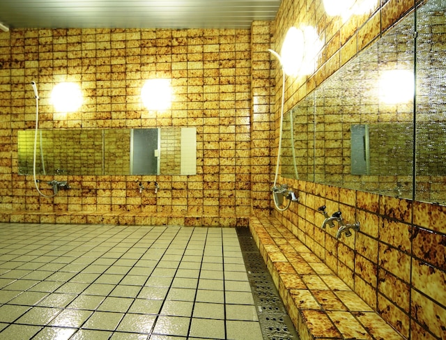 パルズイン雷鳥