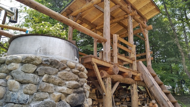 パルズイン雷鳥