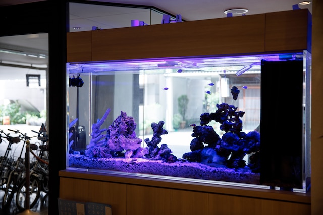 金沢駅前ホテル