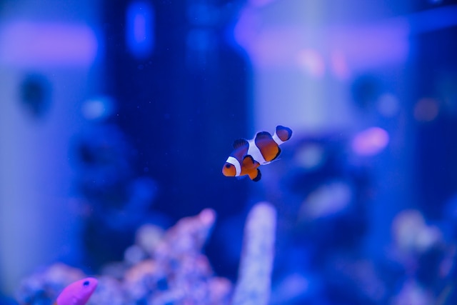 金沢駅前ホテル