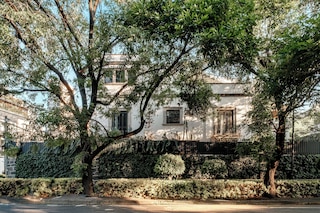 パグ シール ポランコ アナトーレ フランス