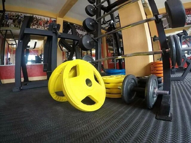 ジェリーズ ヘイブン リゾート