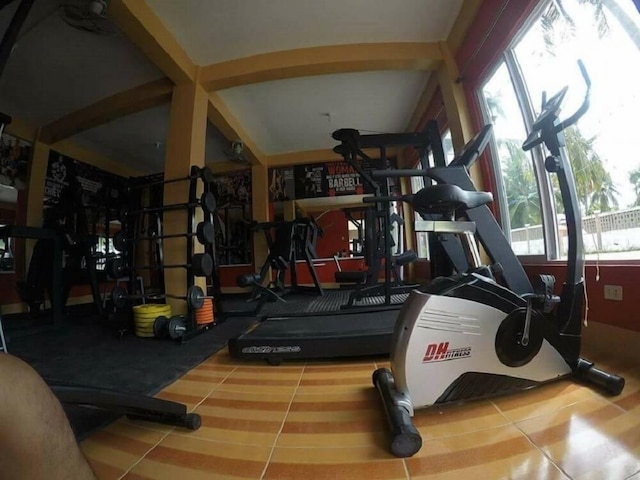 ジェリーズ ヘイブン リゾート