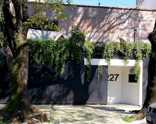 シンギュラー ゴールドスミス