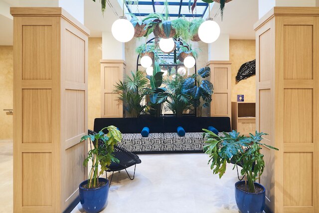 スロー スイーツ セタス