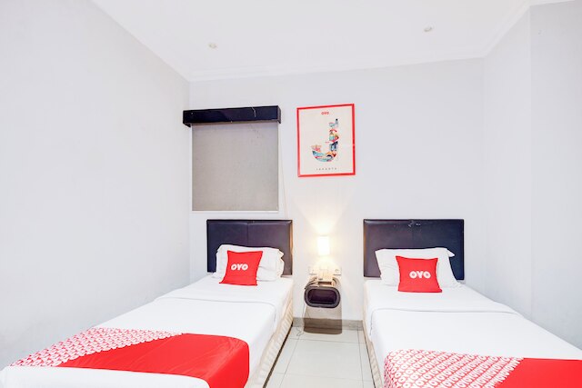 コレクション O マンギス イン