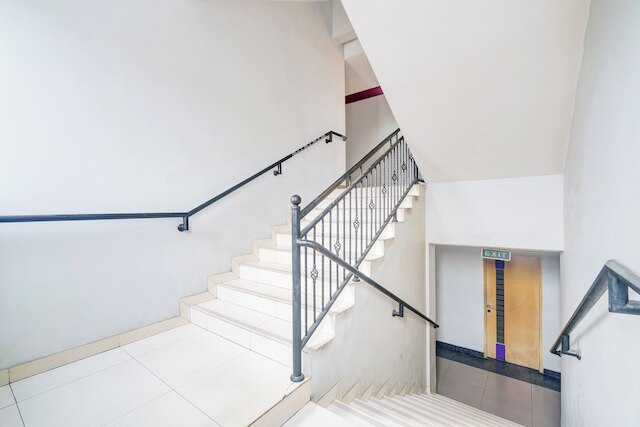 コレクション O マンギス イン