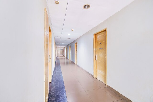 コレクション O マンギス イン