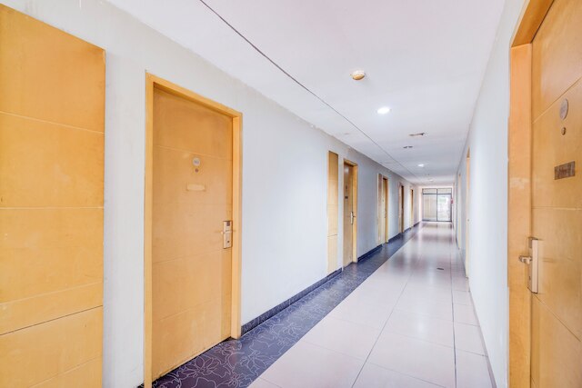 コレクション O マンギス イン